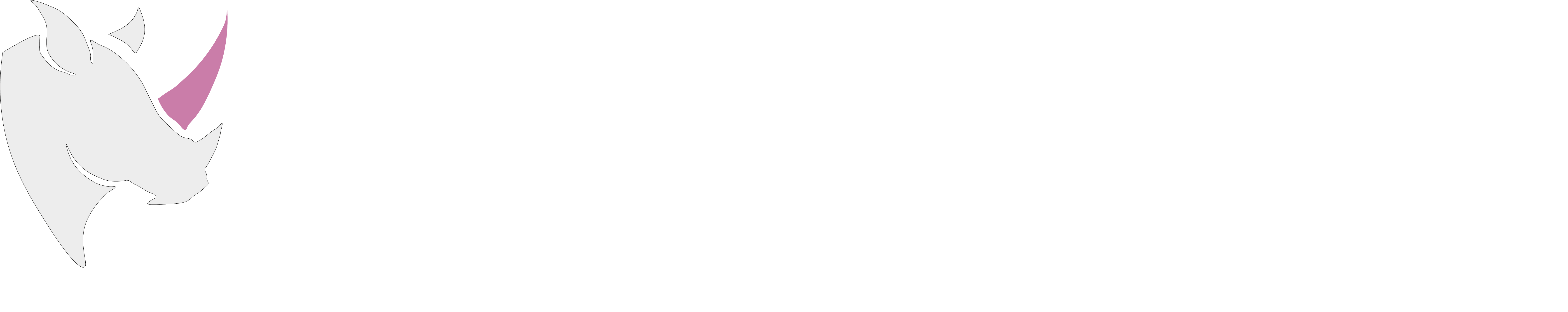 Discovery PPF